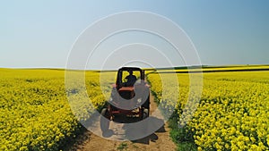 Aerial view of farm tractor in a rapeseed field, beautiful spring day