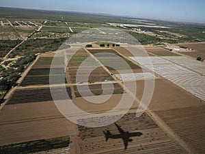 Aerial view of farmed field near la paz airport before landing in Baja California Sur, Mexico