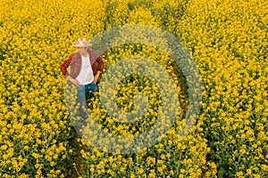 Aerial view of farmer examining blooming rapeseed field