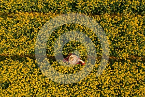 Aerial view of farmer examining blooming rapeseed field