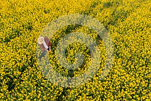 Aerial view of farmer examining blooming rapeseed field