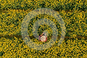 Aerial view of farmer using drone remote controller in blooming rapeseed field