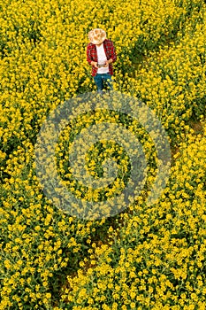 Aerial view of farmer using drone remote controller in blooming rapeseed field