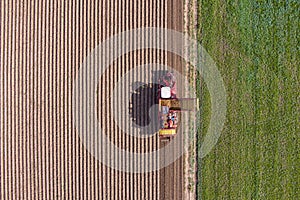 Aerial view of farmers harvesting potato