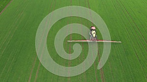 Aerial view of farming tractor plowing and spraying green wheat field. Protection of crop with applying of pesticides