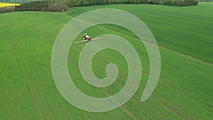 Aerial view of farming tractor plowing and spraying green wheat field. Protection of crop with applying of pesticides