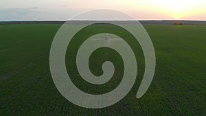 Aerial view of farming tractor spraying on field with sprayer, herbicides and pesticides at sunset. Farm machinery