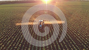 Aerial view of farming tractor spraying on field with sprayer, herbicides and pesticides at sunset. Farm machinery