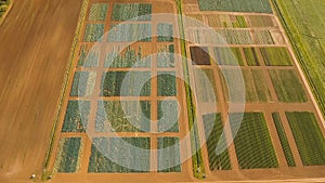 Aerial view of farmland.