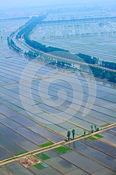 Aerial view of farmland