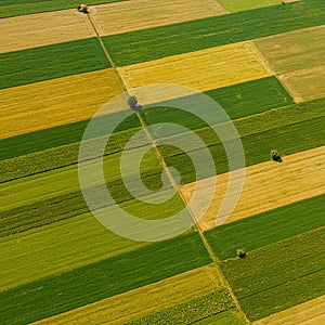 Aerial view of farmland showing a patchwork of rectangular fields in various shades photo