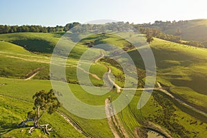 Aerial view of farmland in South Gippsland photo