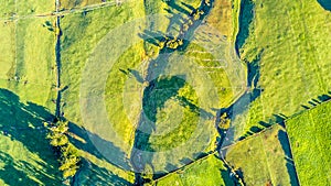 Aerial view on a farmland with stock paddocks at the foot of Mount Taranaki. Taranaki region, New Zealand