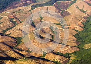 Aerial view of farmlands photo