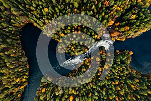 Aerial view of fast river in beautiful orange and red autumn forest, Finland