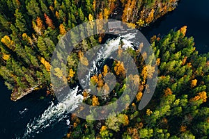Aerial view of fast and wooden cabin in beautiful orange and red autumn forest. Oulanka National Park, Finland photo