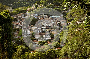 Aerial view of Favela in Cosme Velho in Rio de Janeiro