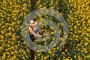 Aerial view of female farmer with tablet computer in rapeseed field using innovative technology