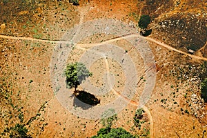 Aerial view of fertile farmland