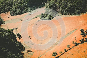 Aerial view of fertile farmland