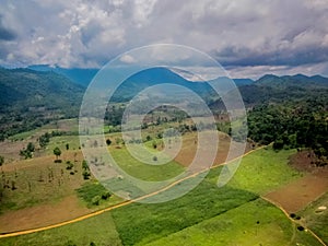 Aerial view of fertile farmland