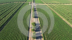 Aerial View of Field