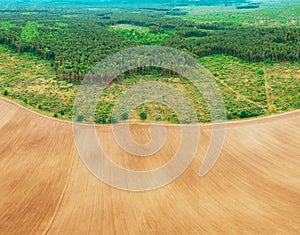 Aerial View Of Field And Deforestation Area Zone Landscape. Top View Of Field And Green Pine Forest Landscape. Large