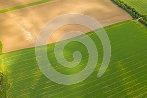 Aerial view of a field with green sprouting young vegetation and a yellow ungreen field surface, abstract impression