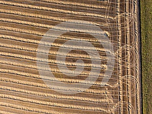 Aerial view of the field after harvest. Rows of straw on an agricultural field. Ecological biofuel and fertilizer for