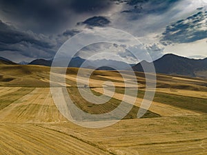 Aerial view of field top view agricultural landscape areas with mountain on background