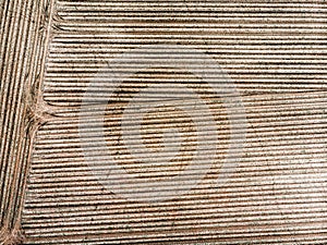 Aerial view of a field with young potato plants, geometric effect of the fresh plough tracks on the field, abstract effect by vert