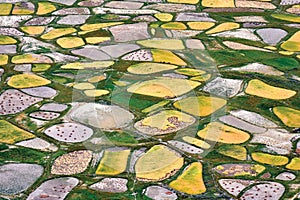 An aerial view of fields during harvesting time, Zanskar Valley, Ladakh, Jammu and Kashmir, India.