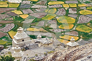 An aerial view of fields during harvesting time, Zanskar Valley, Ladakh, Jammu and Kashmir, India. photo