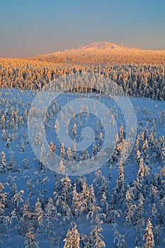 Aerial view of finish lapland