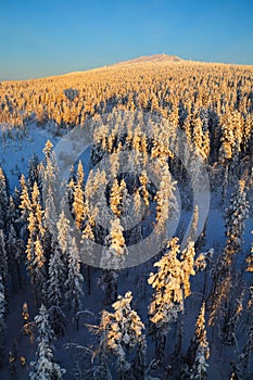 Aerial view of finish lapland