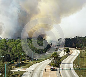 Aerial view of fire department firetrucks extinguishing wildfire burning severely in Florida jungle woods. Emergency