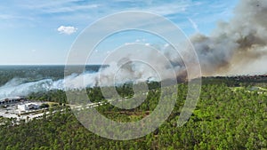 Aerial view of fire department firetrucks extinguishing wildfire burning severely in Florida jungle woods. Emergency