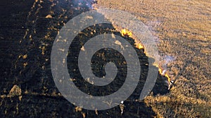 Aerial view Fire extinguishing. Fireman extinguishing burning dry grass.