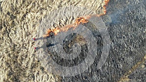 Aerial view of firemen extinguishing grassland field burning with red fire during dry season. Natural disaster and