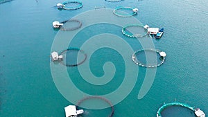 Aerial view of fish ponds for bangus, milkfish.