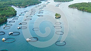 Aerial view of fish ponds for bangus, milkfish.