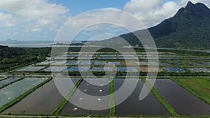 Aerial view of a fishery and prawn farm in Santubong area of Sarawak, Malaysia