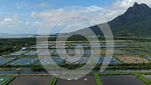 Aerial view of a fishery and prawn farm in Santubong area of Sarawak, Malaysia