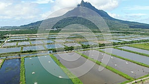 Aerial view of a fishery and prawn farm in Santubong area of Sarawak, Malaysia