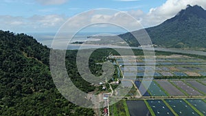 Aerial view of a fishery and prawn farm in Santubong area of Sarawak, Malaysia