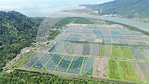 Aerial view of a fishery and prawn farm in Santubong area of Sarawak, Malaysia