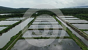 Aerial view of a fishery and prawn farm in Santubong area of Sarawak, Malaysia