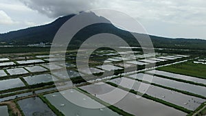 Aerial view of a fishery and prawn farm in Santubong area of Sarawak, Malaysia