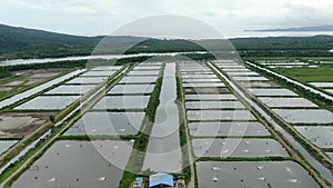 Aerial view of a fishery and prawn farm in Santubong area of Sarawak, Malaysia