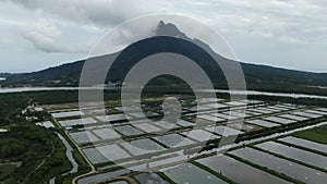 Aerial view of a fishery and prawn farm in Santubong area of Sarawak, Malaysia